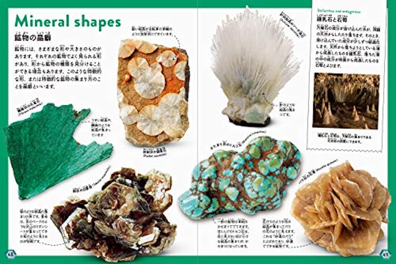これだけは知っておきたい 岩石・鉱物図鑑 6