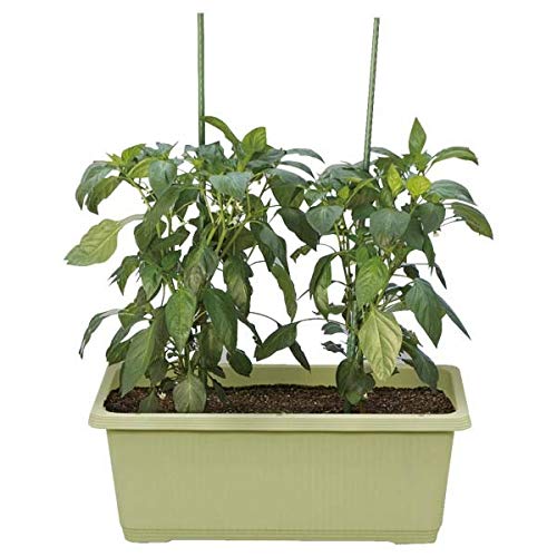 21年 家庭菜園用プランターのおすすめ人気ランキング9選 Mybest