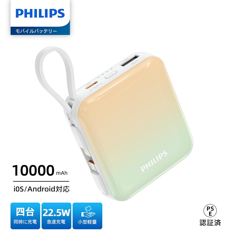 モバイルバッテリー 9