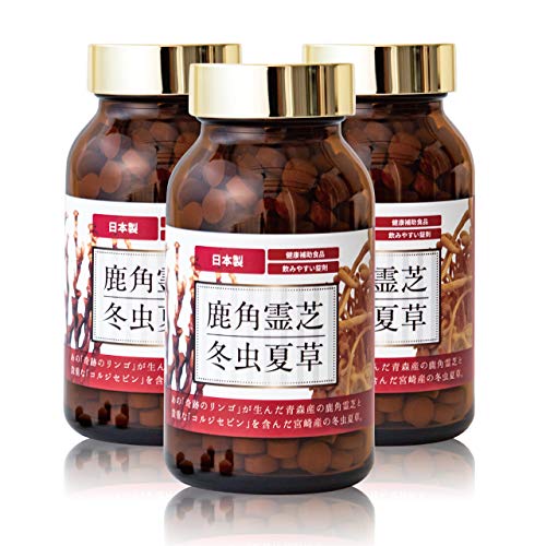 鹿角霊芝 冬虫夏草 2