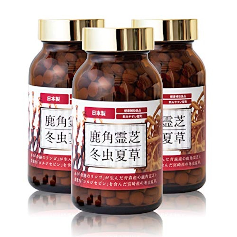 鹿角霊芝 冬虫夏草 2