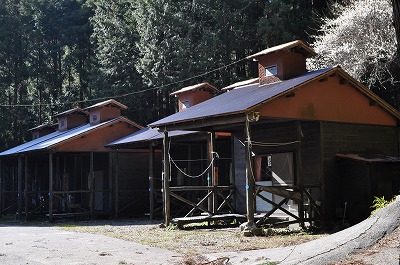 河津七滝オートキャンプ場 2