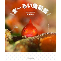 21年 魚図鑑のおすすめ人気ランキング15選 Mybest 21年 魚図鑑のおすすめ人気ランキング15選 Mybest