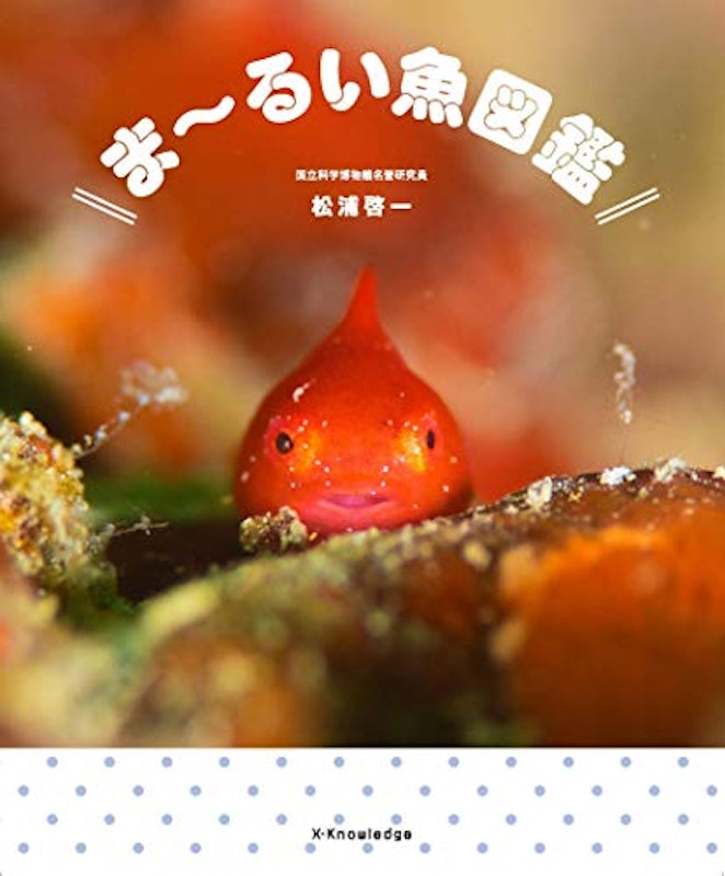 ま〜るい魚図鑑 1
