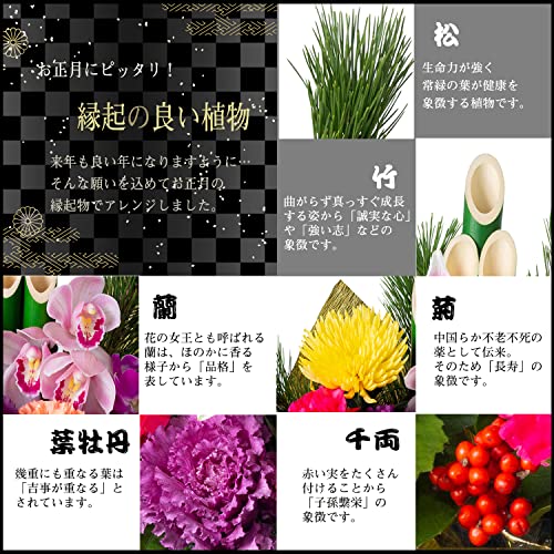 迎春アレンジ お正月の花 3