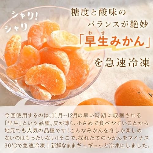 冷凍みかん 500ｇ 4