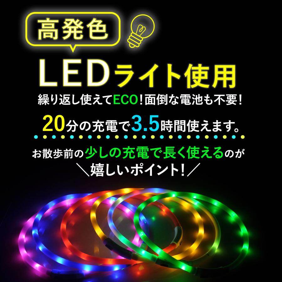 光る首輪  10