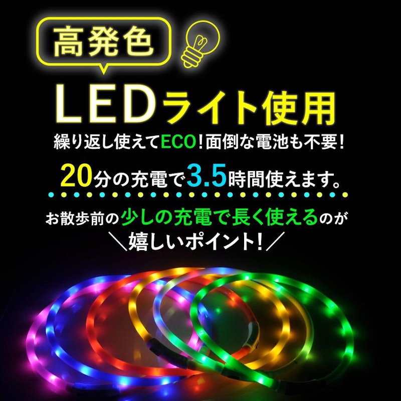 光る首輪 10