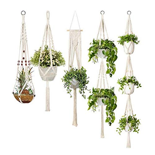 植物ハンガーネット 7