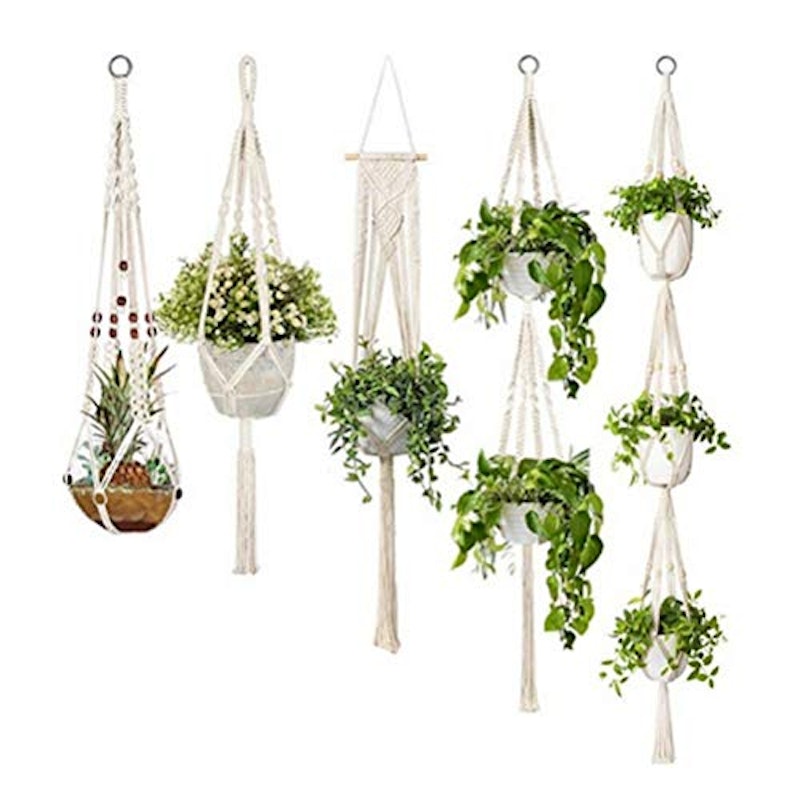 植物ハンガーネット 7
