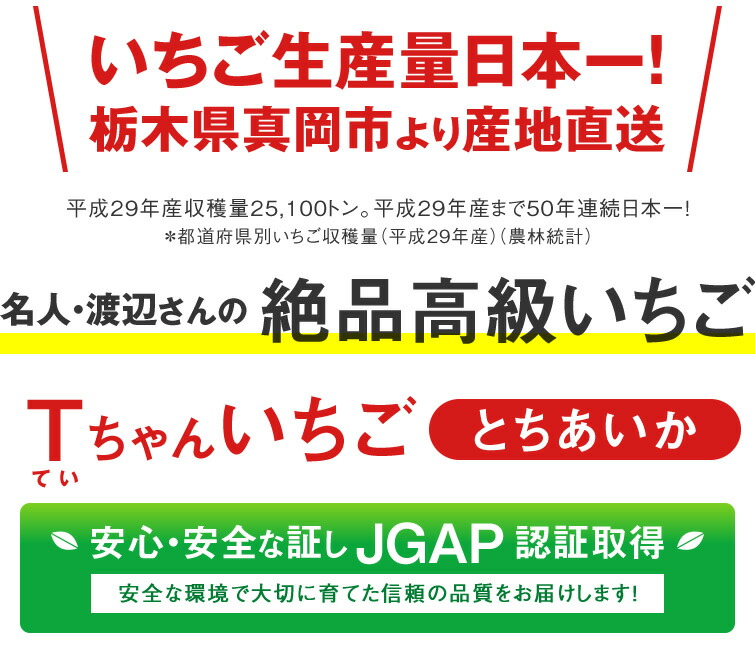 とちあいか 4