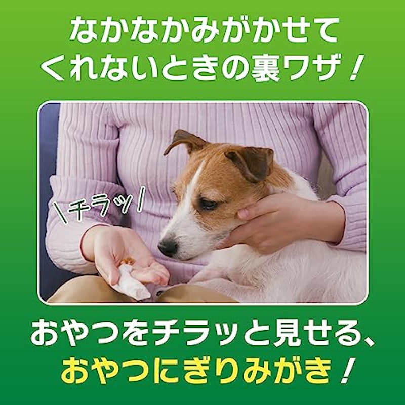 指サック歯みがきシート 5