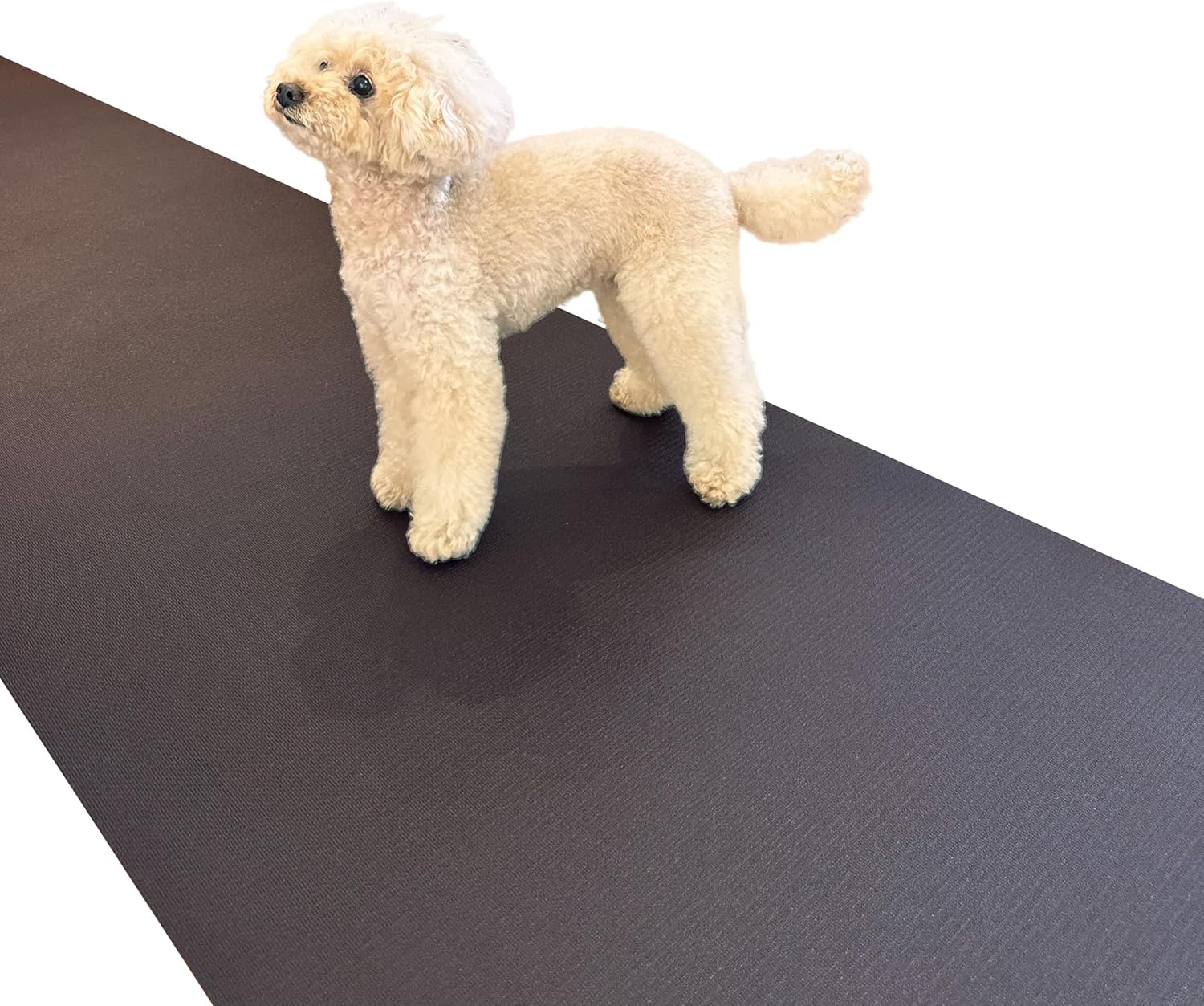 犬用滑り止めマット HOME CHOCO III 1