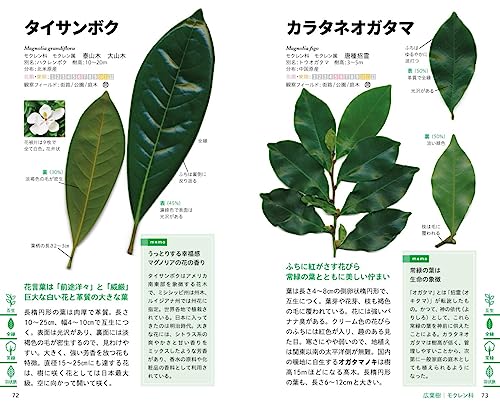 見わけがすぐつく樹木図鑑 4