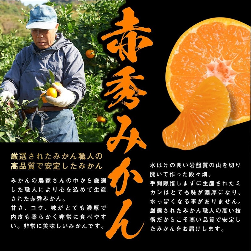 赤秀みかん 小粒 2