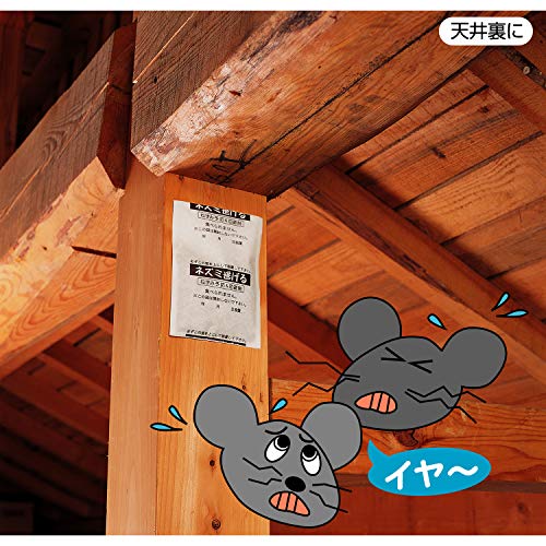 業務用スーパーネズミ逃げる 2