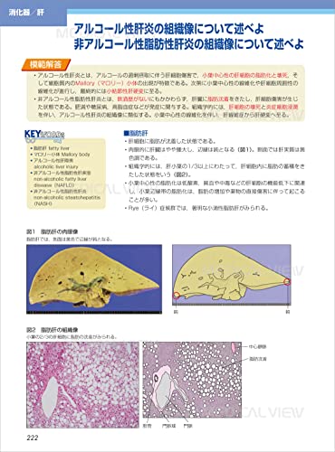 カラーイラストで学ぶ 集中講義 生化学 改訂2版 6