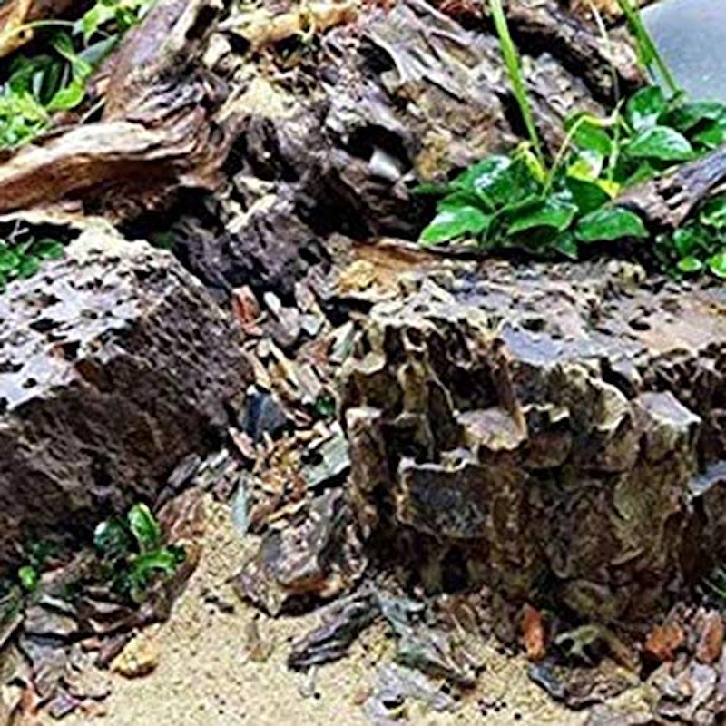 装飾用流木 3