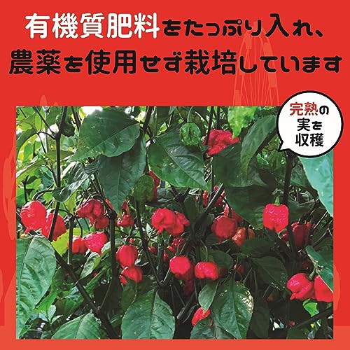 キャロライナ リーパー  2