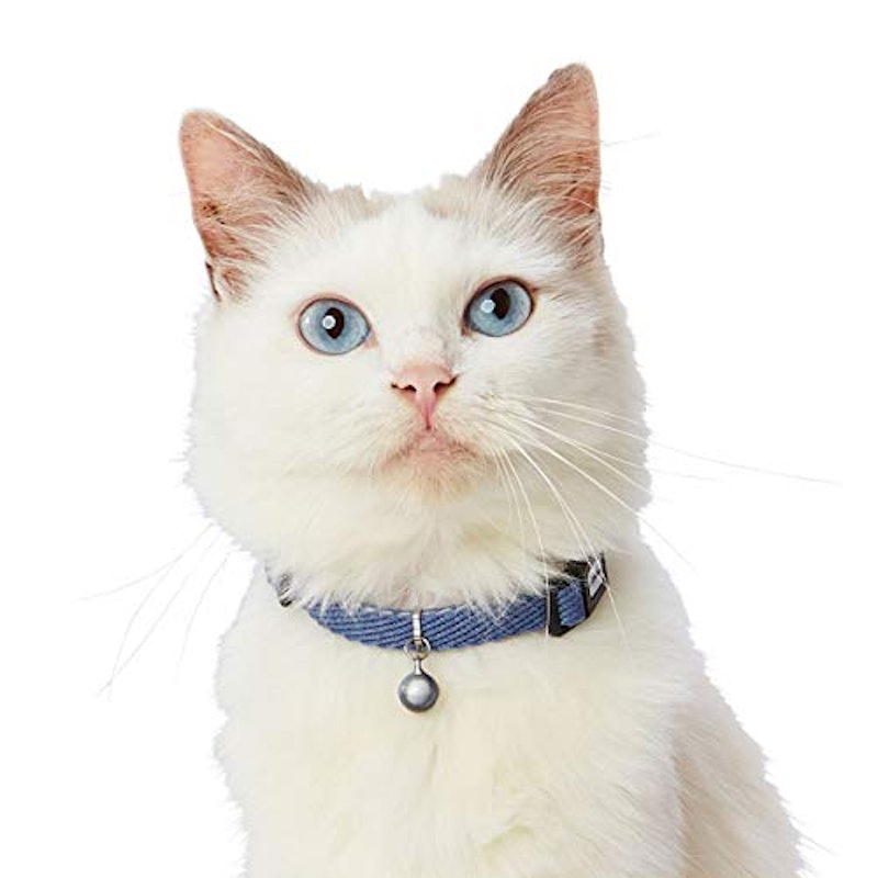 猫用首輪 1