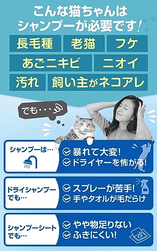 ドライシャンプー 4