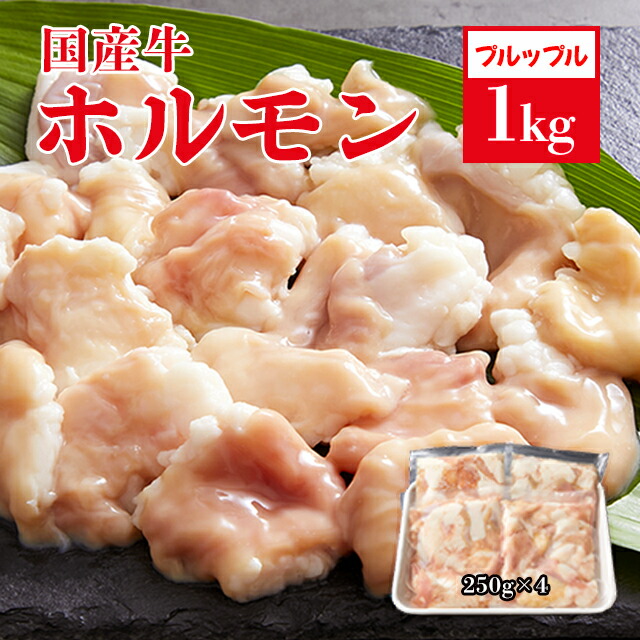 国産 ホルモン 1