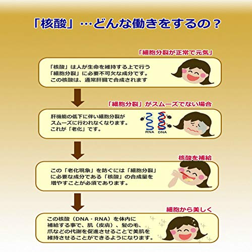老舗核酸  4