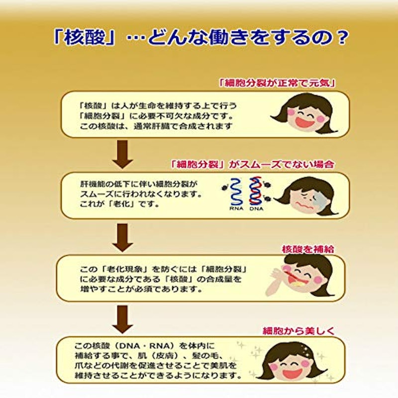 老舗核酸 4