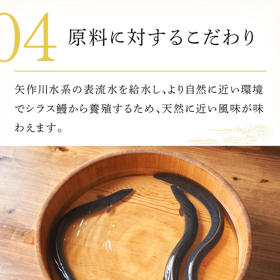 うなぎ蒲焼 8