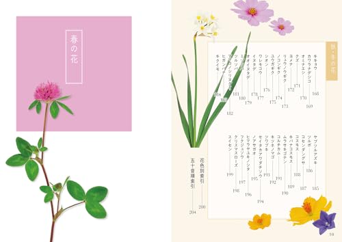 散歩でよく見る花図鑑 5
