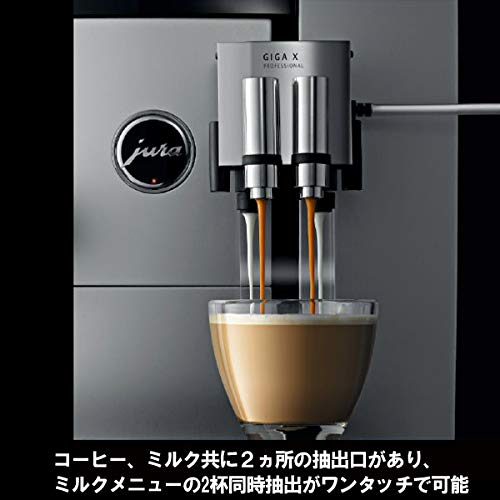 GIGA X3 Professional 3