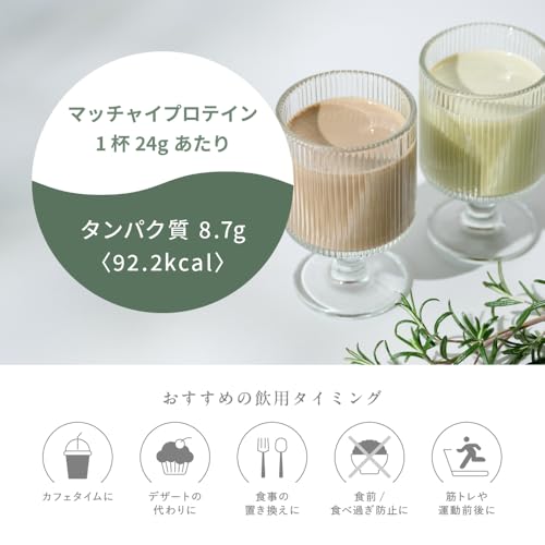 MATCHAI PROTEIN 3