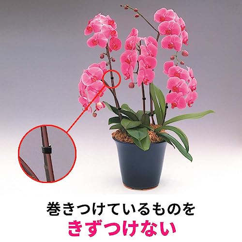 ワンタッチベルト 5