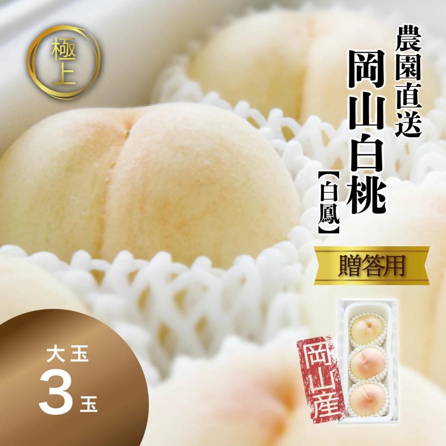 岡山白桃 白鳳 1