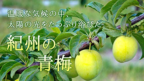 梅肉エキス 2