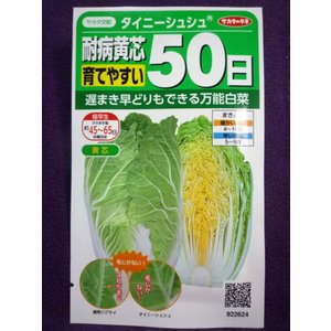 家庭菜園向け野菜のおすすめ人気ランキング【2026年5月】 1