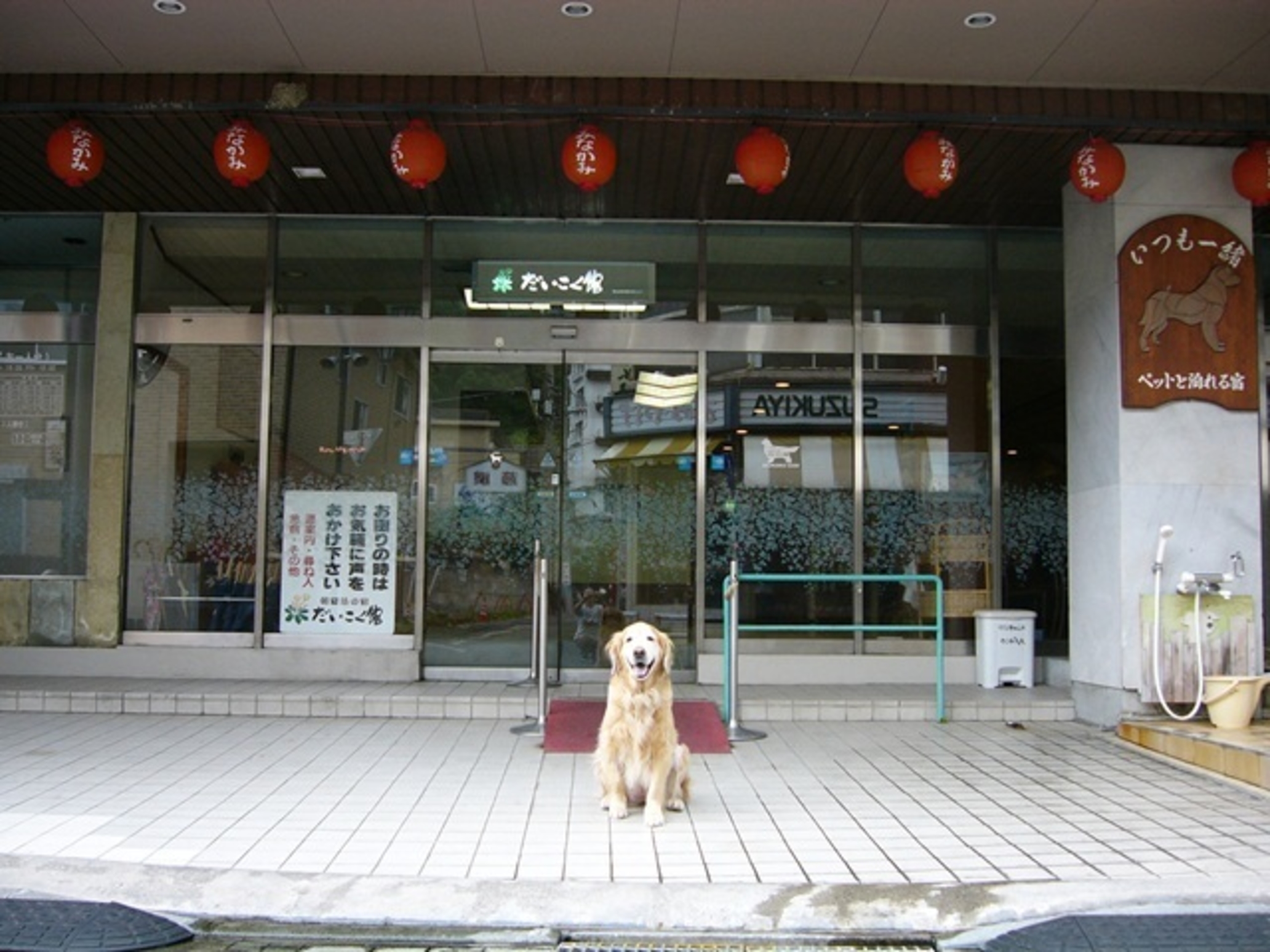 ペットと泊れる温泉宿 だいこく館 1