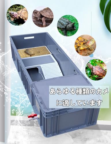 亀飼育用水槽 6