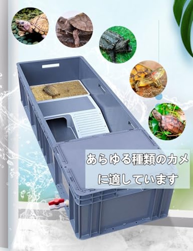 亀飼育用水槽 6