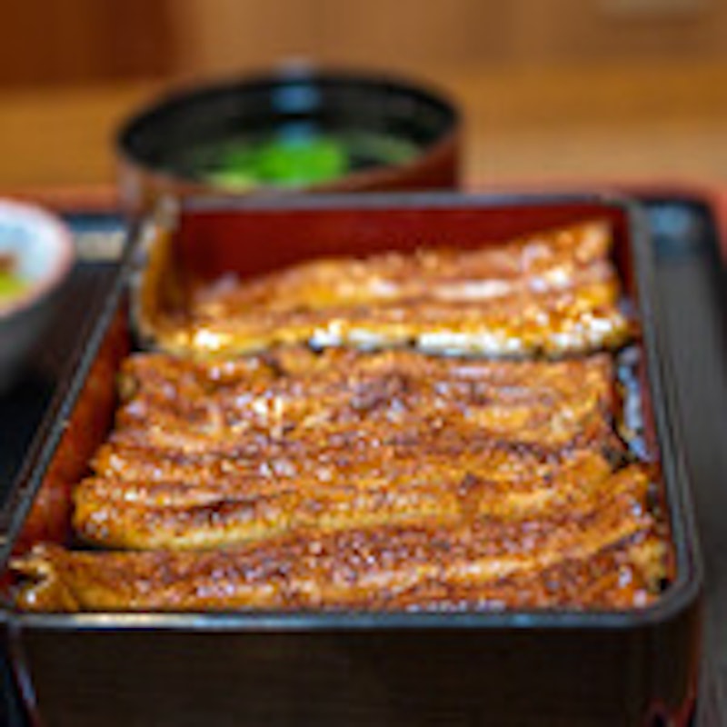 うなぎ 浜名 1