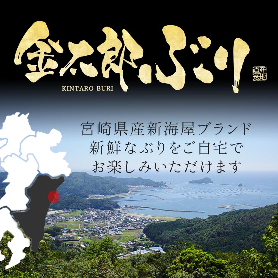 金太郎ぶり 冷凍 2
