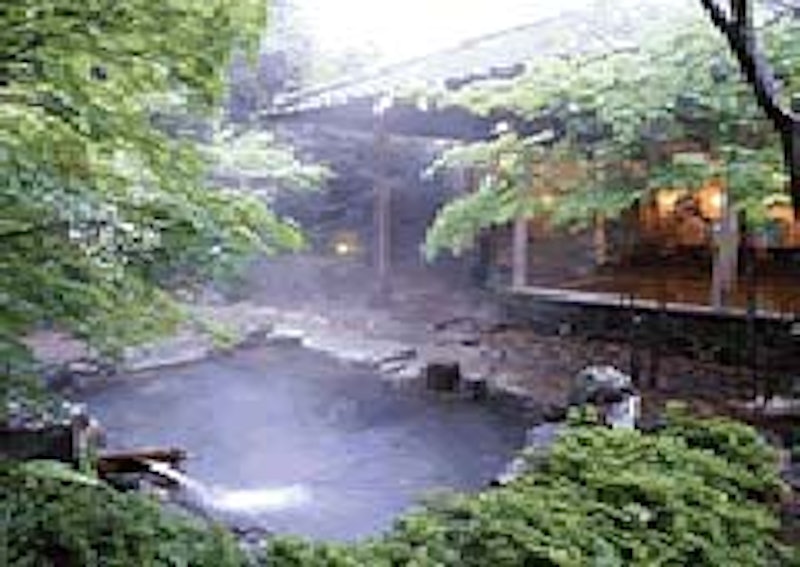 岩室温泉 著莪の里 ゆめや 2