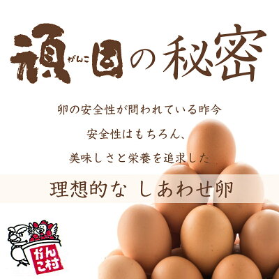 頑固 赤玉 6
