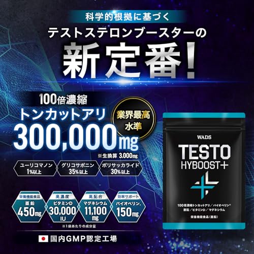 TESTO HYBOOST+ 2