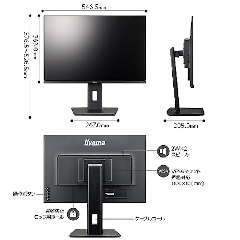 ProLite 6
