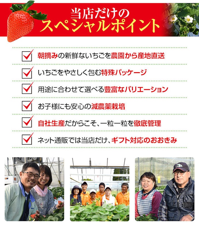 宮崎産高級いちご「おおきみ」超特大9粒 2
