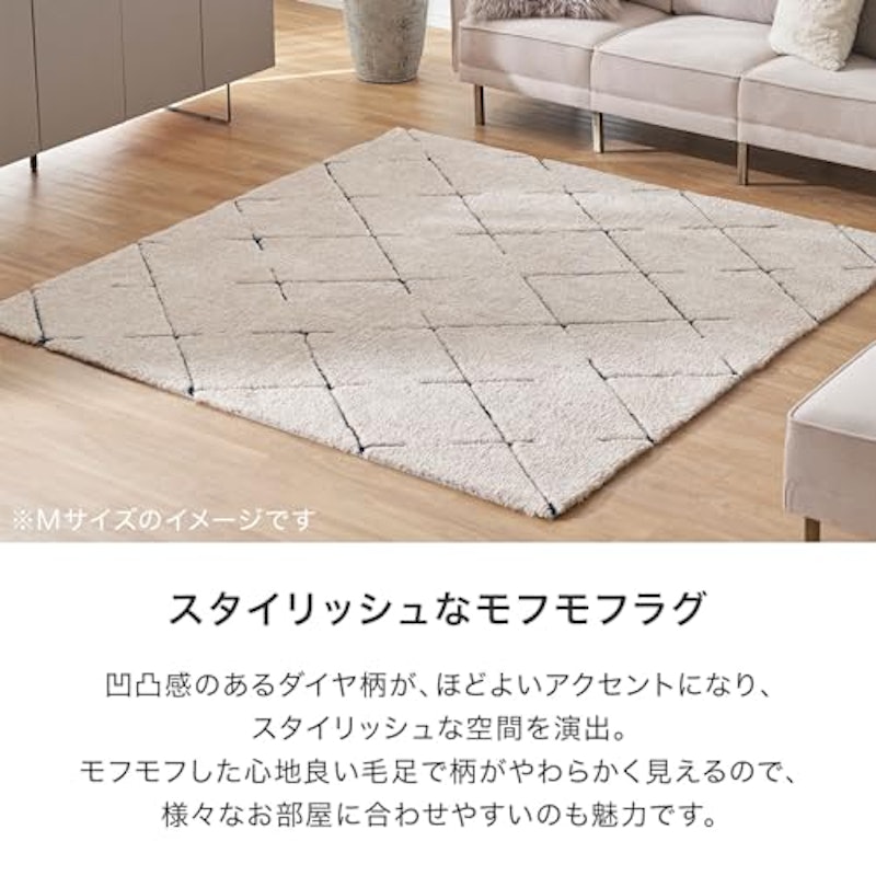 シャギーラグ 2