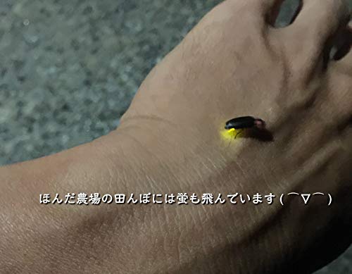 EM農法有機栽培米 水の精 3