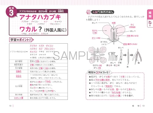 改訂第2版 中学受験 ゴロ合わせで覚える理科100 2