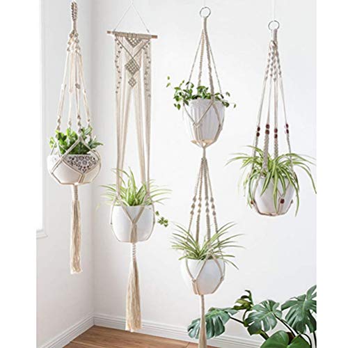 植物ハンガーネット 6
